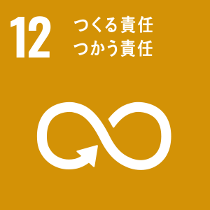 sdg_icon_12